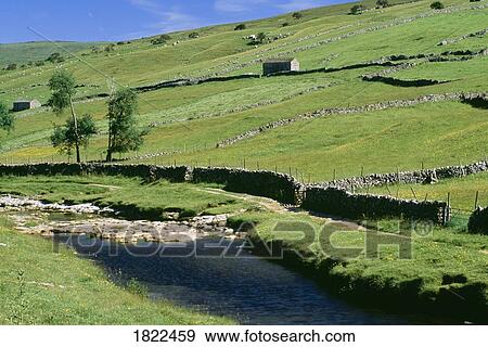 Stone fences and fields, Yorkshire Dales National Park, England View Large Photo Image Stock Photo - Stone fences and fields, Yorkshire Dales National Park, England. Fotosearch