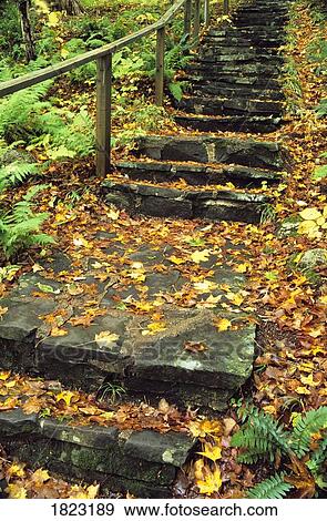 Stone stairway in forest, Cape Breton Highlands National Park, Nova Scotia, Canada View Large Photo Image Stock Photo - Stone stairway in forest, Cape Breton Highlands National Park, Nova Scotia, Canada. Fotosearch