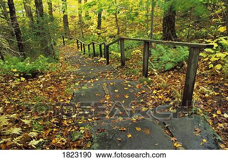 Stone stairway through forest, Cape Breton Highlands National Park, Nova Scotia, Canada View Large Photo Image Stock Image - Stone stairway through forest, Cape Breton Highlands National Park, Nova Scotia, Canada. Fotosearch