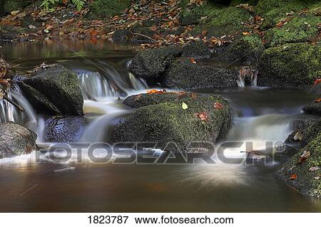 Stream in Padley Gorge, Derbyshire, UK View Large Photo Image Stock Photo - Stream in Padley Gorge, Derbyshire, UK . Fotosearch
