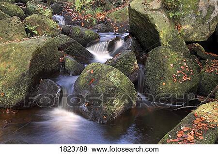 Stream in Padley Gorge, Derbyshire, UK View Large Photo Image Stock Photo - Stream in Padley Gorge, Derbyshire, UK . Fotosearch