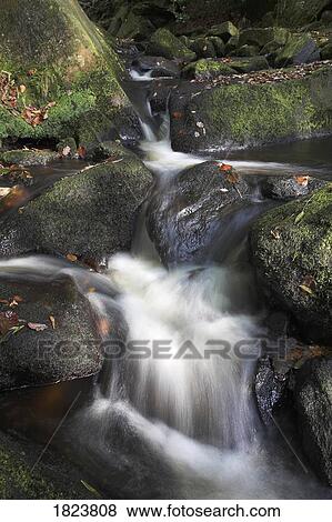 Stream in Padley Gorge, Derbyshire, UK View Large Photo Image Stock Photo - Stream in Padley Gorge, Derbyshire, UK . Fotosearch