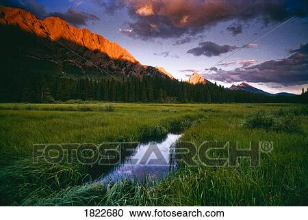 Stock Image - Stream, Peter Lougheed Provincial Park, Alberta, Canada. Fotosearch