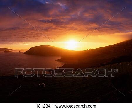 Sunset at Dunmore Head, Dingle Peninsula, Co Kerry, Ireland View Large Photo Image Stock Image - Sunset at Dunmore Head, Dingle Peninsula, Co Kerry, Ireland. Fotosearch