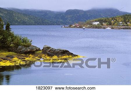 Swift Current, Burin Peninsula, Newfoundland, Canada View Large Photo Image Stock Photo - Swift Current, Burin Peninsula, Newfoundland, Canada. Fotosearch
