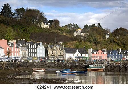 Tobermory, Isle of Mull, Scotland View Large Photo Image Stock Image - Tobermory, Isle of Mull, Scotland. Fotosearch