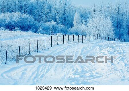 Tracks in the snow View Large Photo Image Stock Photo - Tracks in the snow. Fotosearch