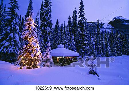 Stock Photo - Tree with Christmas lights, Emerald Lake, Yoho National Park, British Columbia, Canada. Fotosearch