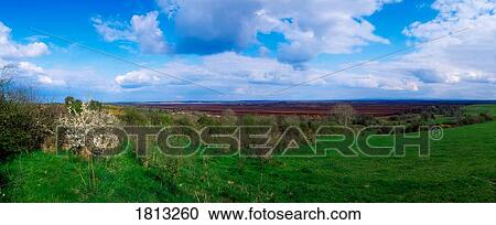 Turf, Blackwater Bog, Co Offaly, Ireland View Large Photo Image Stock Image - Turf, Blackwater Bog, Co Offaly, Ireland. Fotosearch