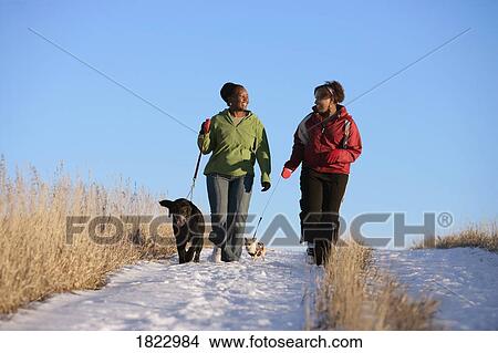Picture - Two woman walking their dogs. Fotosearch