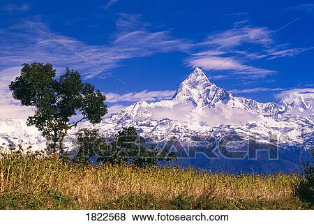View of Machhapuchhare from Sarangkot, Annapurna region, Nepal View Large Photo Image Stock Photo - View of Machhapuchhare from Sarangkot, Annapurna region, Nepal. Fotosearch