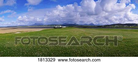 Stock Photo - Wildflower meadow, Bloody Foreland, Co Donegal, Ireland. Fotosearch