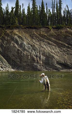 Man fly fishing in a mountain river, Nordegg, Alberta, Canada View Large Photo Image Stock Photography - Man fly fishing in a mountain river, Nordegg, Alberta, Canada. Fotosearch