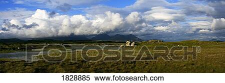 Stock Photography - A field and swamp area, County Galway, Ireland. Fotosearch