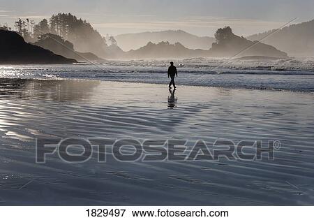 A man walking along Chesterman's Beach near Tofino on Vancouver Island, British Columbia, Canada View Large Photo Image Stock Photo - A man walking along Chesterman's Beach near Tofino on Vancouver Island, British Columbia, Canada. Fotosearch
