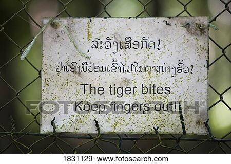 A sign for a tiger biting on a fence in Laos, Thailand View Large Photo Image Stock Photo - A sign for a tiger biting on a fence in Laos, Thailand. Fotosearch