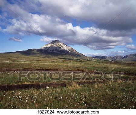 Picture - A snow covered mountain. Fotosearch