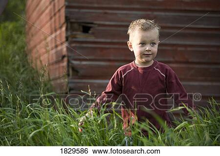 A young boy in tall grass View Large Photo Image Stock Photograph - A young boy in tall grass. Fotosearch