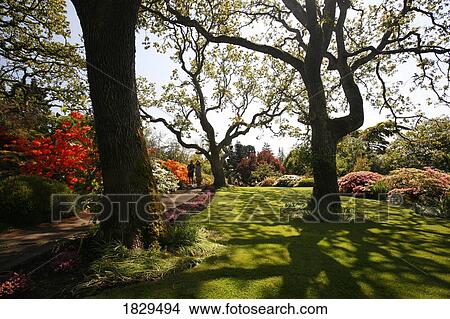 Picture - Abkhazi Gardens in Victoria, British Columbia, Canada. Fotosearch