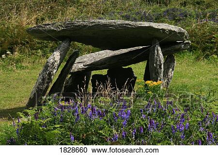 Stock Image - Altar Dolmen and wild flowers near Schull, County Cork, Ireland. Fotosearch