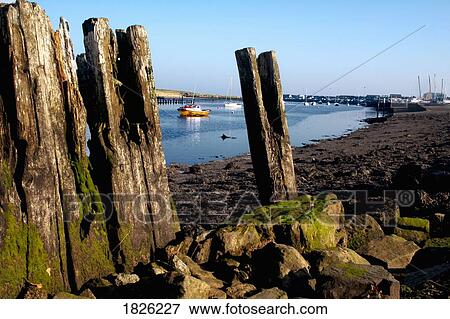 Stock Photo - Amble, Northumberland, England. Fotosearch