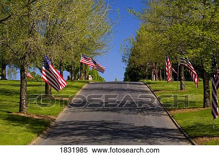 Stock Photography - American Flags Along A Road In Oregon, USA. Fotosearch