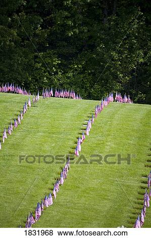 American Flags In A Graveyard During Memorial Day, Oregon, USA View Large Photo Image Stock Photo - American Flags In A Graveyard During Memorial Day, Oregon, USA. Fotosearch