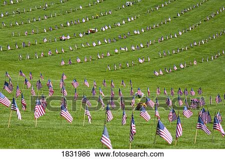 American Flags In A Graveyard During Memorial Day, Oregon, USA View Large Photo Image Stock Photograph - American Flags In A Graveyard During Memorial Day, Oregon, USA. Fotosearch