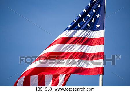 An American Flag View Large Photo Image Stock Photo - An American Flag. Fotosearch