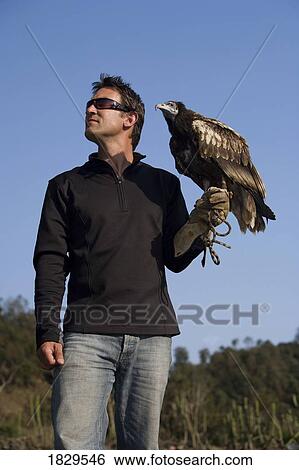 An Egyptian vulture (Neophron percnopterus)and a falconer View Large Photo Image Stock Photograph - An Egyptian vulture (Neophron percnopterus)and a falconer. Fotosearch