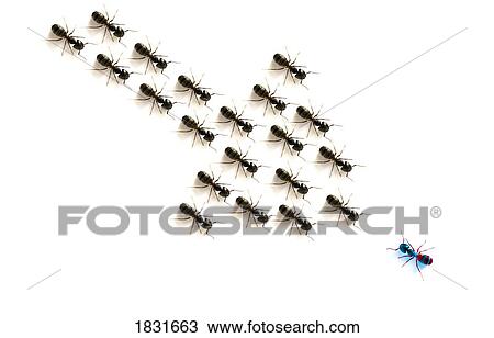 Stock Image - Ants, forming an arrow. Fotosearch