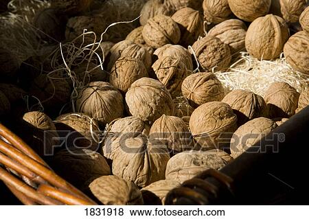 Stock Photo - Basket of walnuts. Fotosearch
