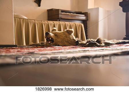 Stock Photo - Bear rug in 13th century Bran Castle, Bran, Romania, Europe. Fotosearch