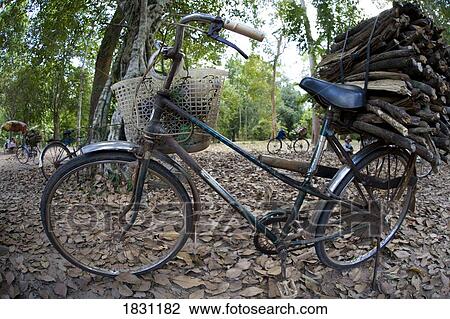Bicycle View Large Photo Image Stock Image - Bicycle. Fotosearch