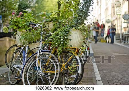 Stock Image - Bicycles, Red Light District, Amsterdam, Netherlands, Europe . Fotosearch