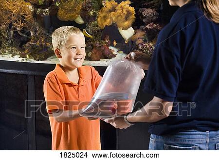 Picture - Boy getting pet fish. Fotosearch
