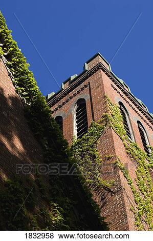 Stock Photo - Building with vines. Fotosearch