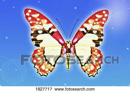 Butterfly View Large Photo Image Stock Photo - Butterfly. Fotosearch