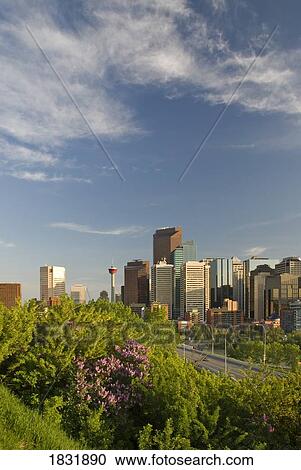 Calgary, Alberta, Canada View Large Photo Image Stock Image - Calgary, Alberta, Canada. Fotosearch