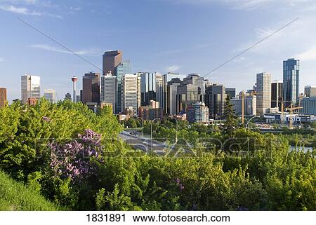Calgary, Alberta, Canada View Large Photo Image Stock Image - Calgary, Alberta, Canada. Fotosearch