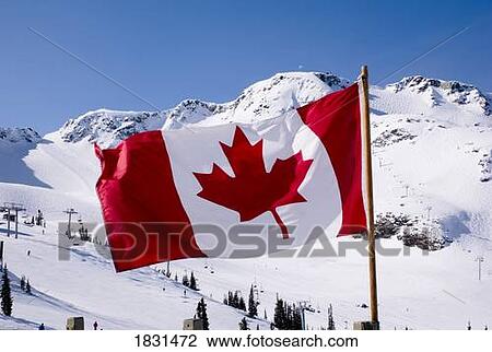 Canadian flag View Large Photo Image Stock Image - Canadian flag. Fotosearch