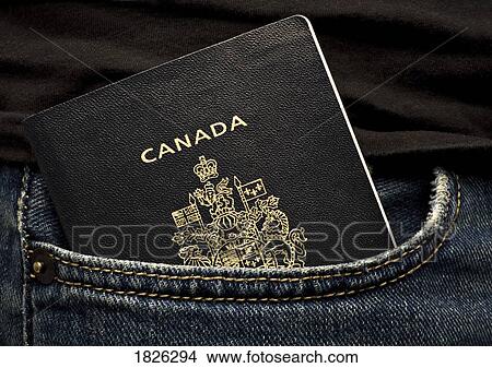 Picture - Canadian passport in a pocket. Fotosearch