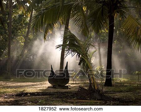 Canoe under palm trees in Kerala, India  View Large Photo Image Stock Image - Canoe under palm trees in Kerala, India . Fotosearch