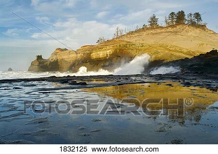 Stock Photography - Cape Kiwanda At Low-Tide Reflection, Oregon, USA. Fotosearch