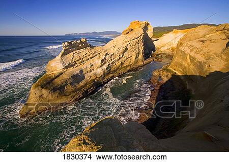 Picture - Cape Kiwanda, Oregon, USA. Fotosearch