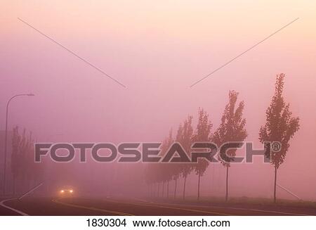 Picture - Car on rural highway in fog, Happy Valley, Oregon, USA. Fotosearch