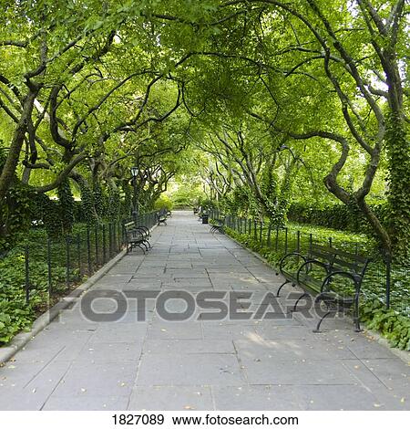 Stock Photo - Central Park, New York, USA. Fotosearch