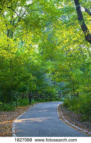 Central Park pathway, New York, USA View Large Photo Image Stock Photo - Central Park pathway, New York, USA. Fotosearch