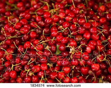 Cherries View Large Photo Image Picture - Cherries. Fotosearch