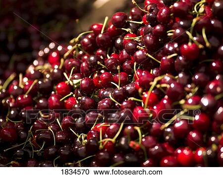 Stock Image - Cherries. Fotosearch
